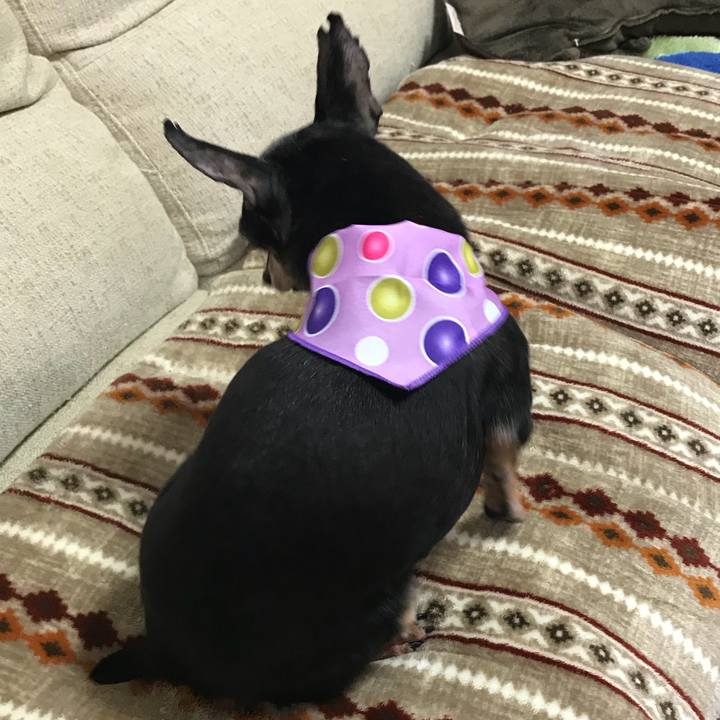 Ee7e0e74 cf98 4a59 977c b3d9347ed8ce 1548587305507