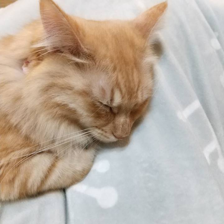 Ee7e5117 ef08 4ead a168 c4cf82040726 1639056313751