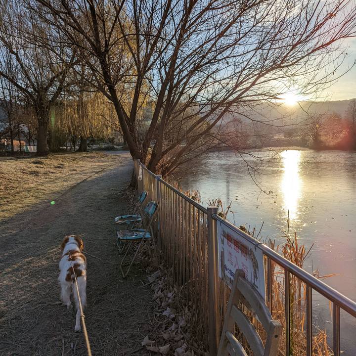 Ee7e67d8 f8ec 42d0 bc83 312a5879687a 1641728334674