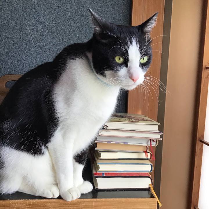 Ee7e7172 3c37 4b29 854d 0bd047a3049f 1736307896938