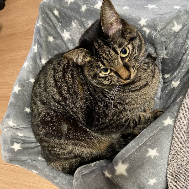 Ee7e8579 8ede 43f3 b4c2 6651d4c28d73 1639047835905