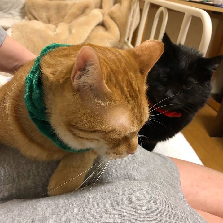 Ee7e9311 3923 4d50 944f 2ce8762eaee1 1577193690462