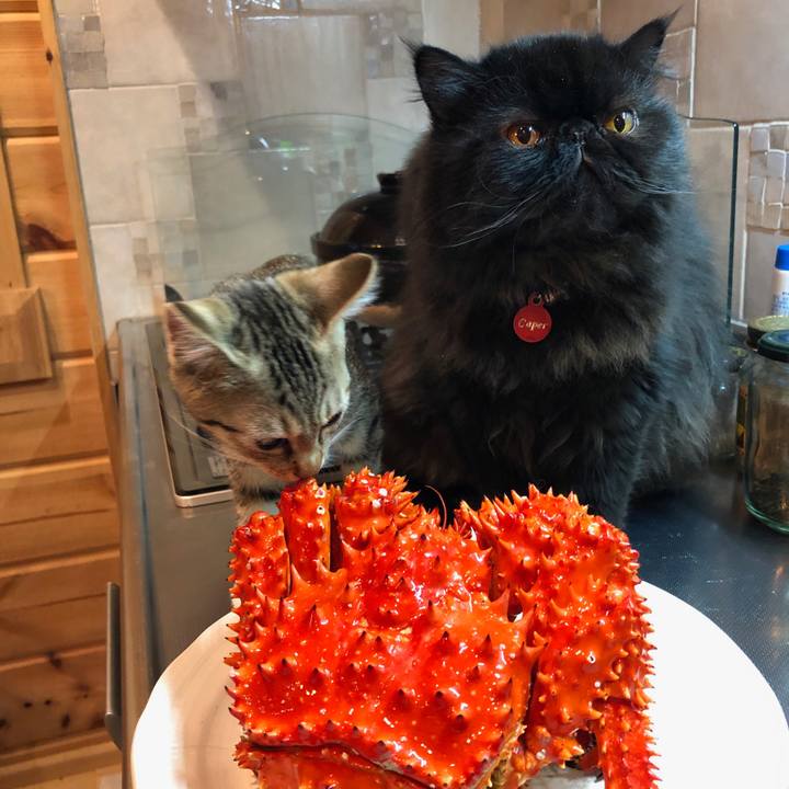 Ee7e9f15 2ed0 4f90 9a4d 578d3fcf90c4 1546448572148