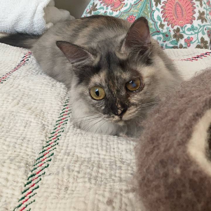 Ee7e9fed e2b1 4fa6 ac84 48d6a34aa948 1725754098441