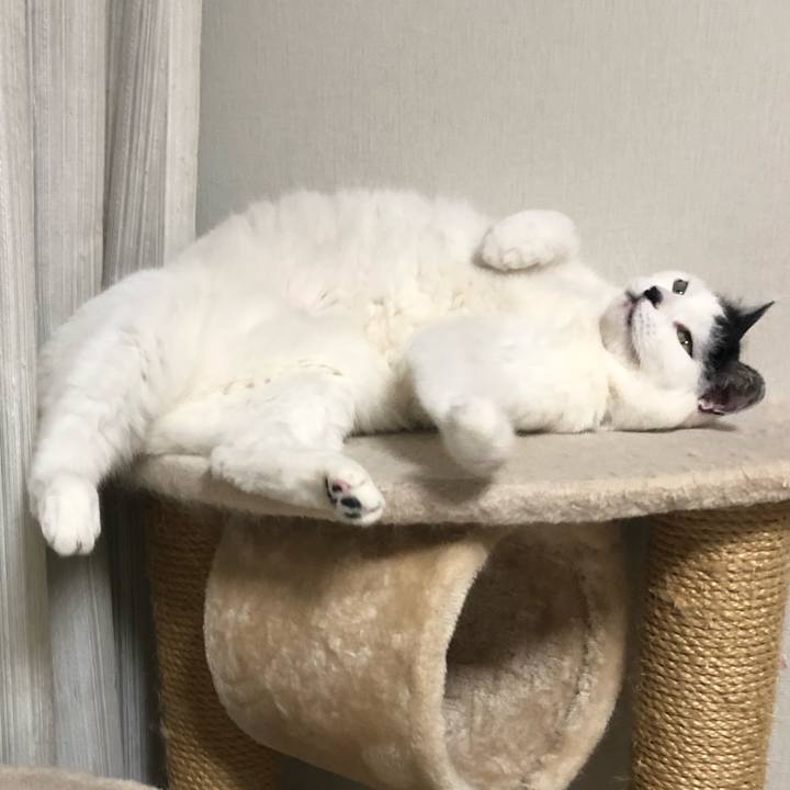 Ee7ea29b 10ae 4dff 934e f447c241a651 1545901816417