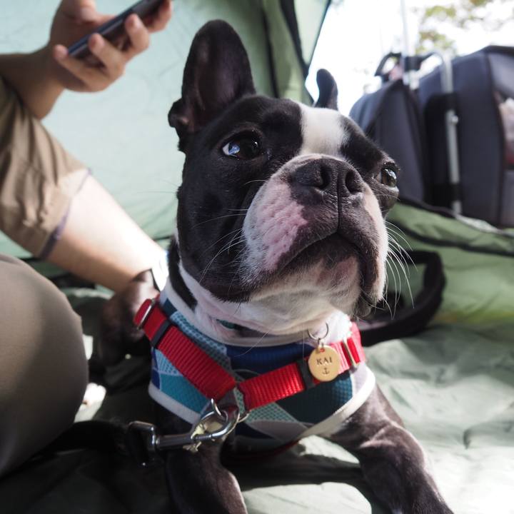 Ee7eb94a dbb5 4cc1 aa63 fca7b4af20c7 1569120518976