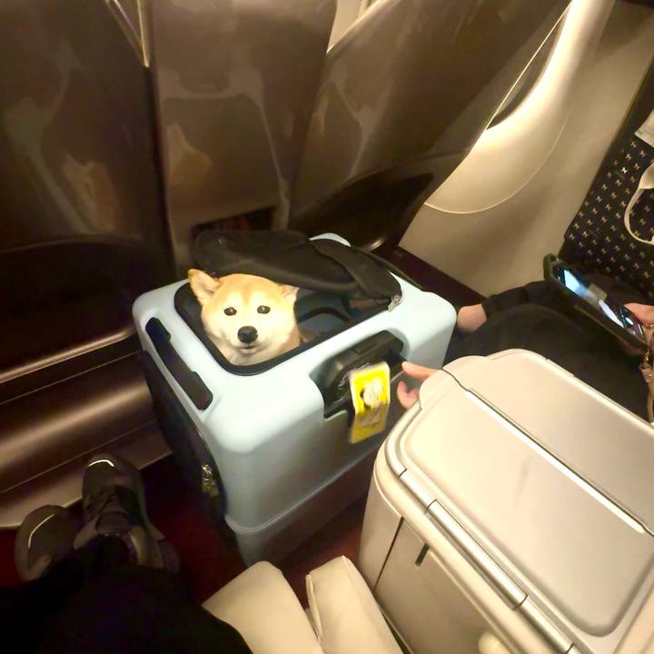 Ee7edd48 5637 43f6 a121 c291826a6f78 1729341227705