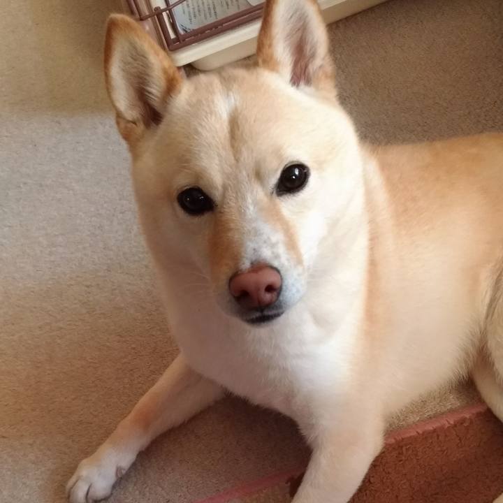 Ee7ee632 e46e 43c6 a1f3 53e00d3e26eb 1588373299793