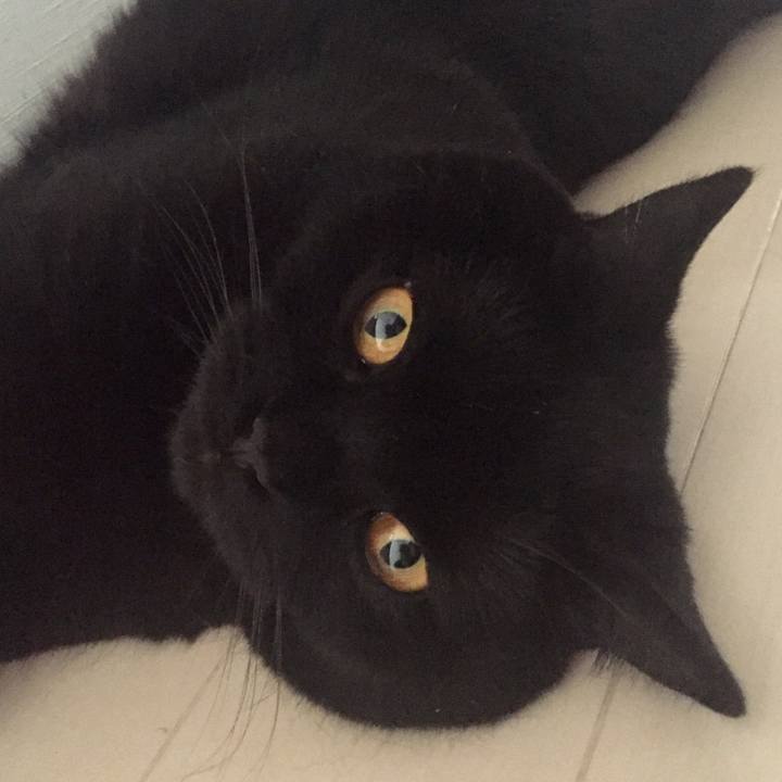 Ee7f04d8 320d 48d1 9dd6 1b63a1ec1f16 1560865791751