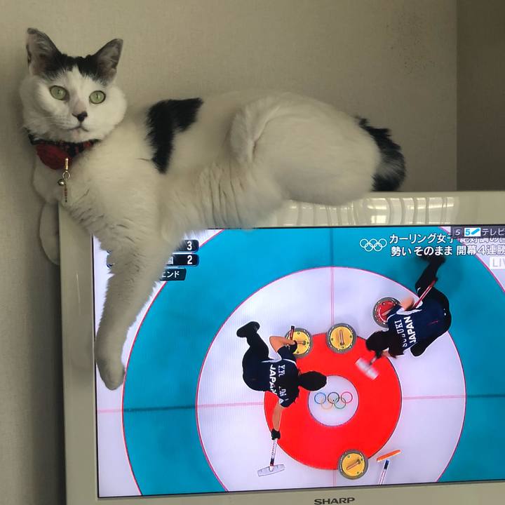 Ee7f0612 2a52 4bf9 89a5 33701e3d0708 1771065032235