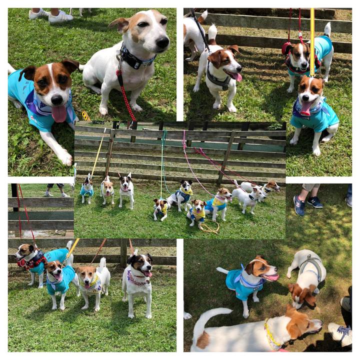 Ee7f1f4a d097 41e1 99cb 235a47149ad3 1566824640138