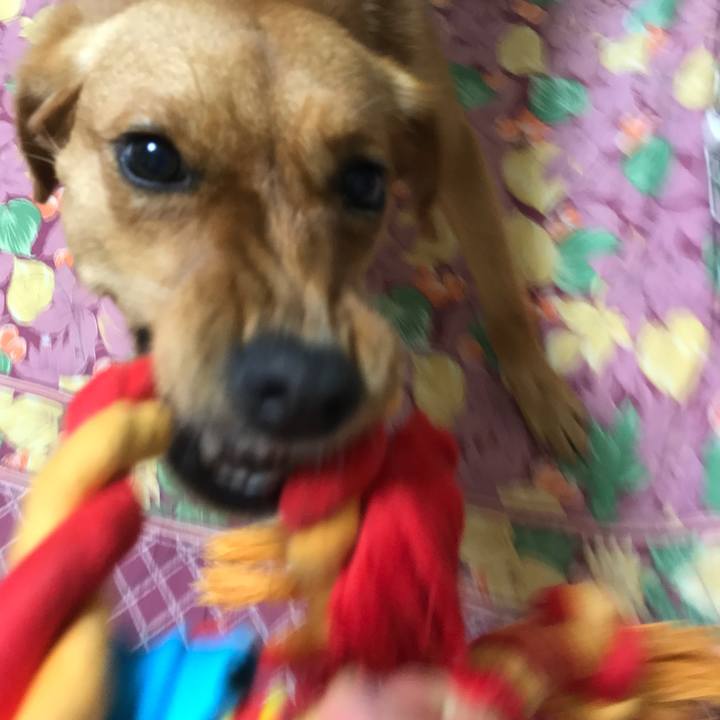 Ee7f636f 04fb 4609 b9c8 d7eeb53ac315 1532093915707