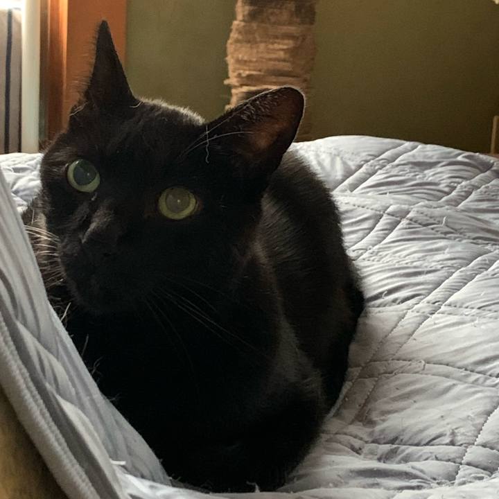 Ee7fb762 6893 4a86 a9da 34d15e21ab2c 1602120023119