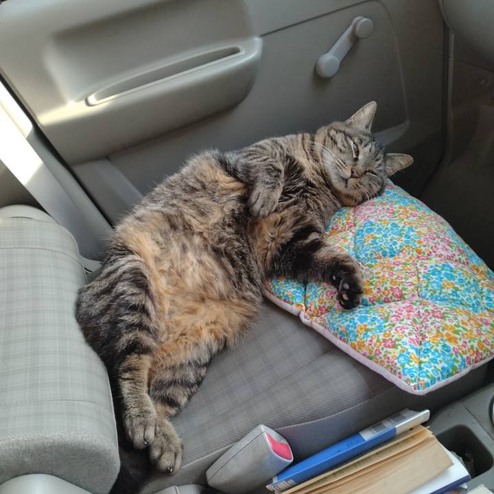 Ee7fc90c cdbd 465e 8544 7f7061819567 1713175157832