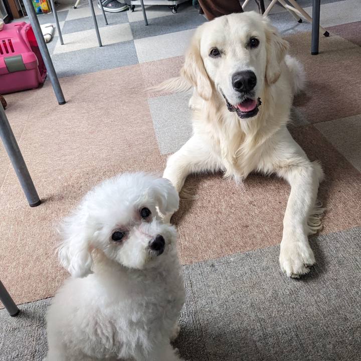 Ee7fd908 cf22 42ca 93e0 a28faa81cfa8 1762073393609