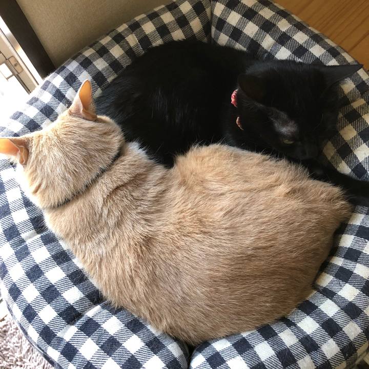 Ee7ff502 d555 4b0b 93be c2d4b8ad0d84 1526790954048