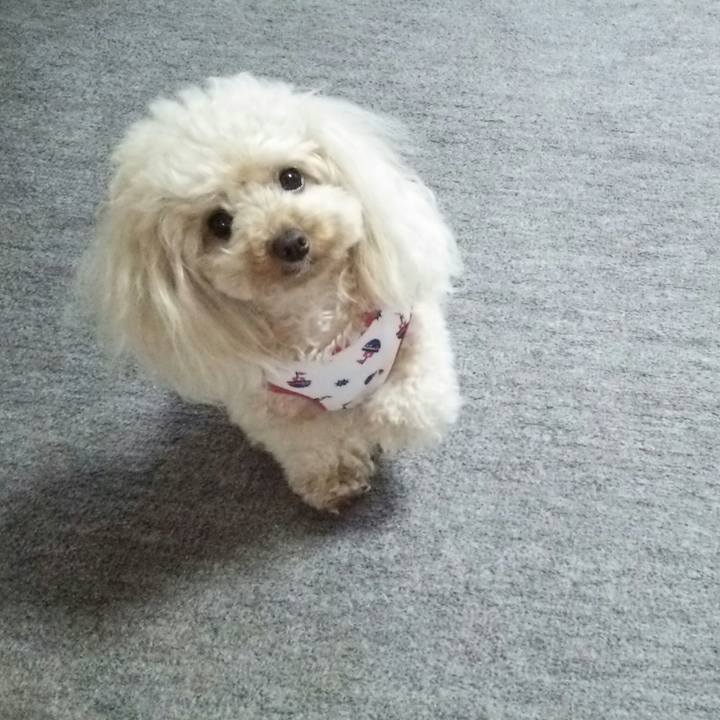 Ee7ff83e 0f96 44ae 971d 4c39e2cdcf5a 1528890653626