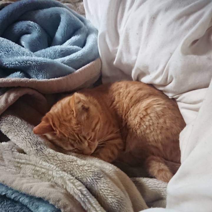 Ee7ffa80 6b11 444c 87a9 1f6405fceb32 1649888925677