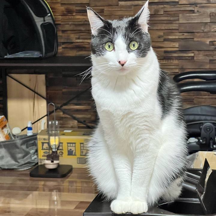 Ee801abc 5343 496b b10d eb41edcd96ba 1765097337424