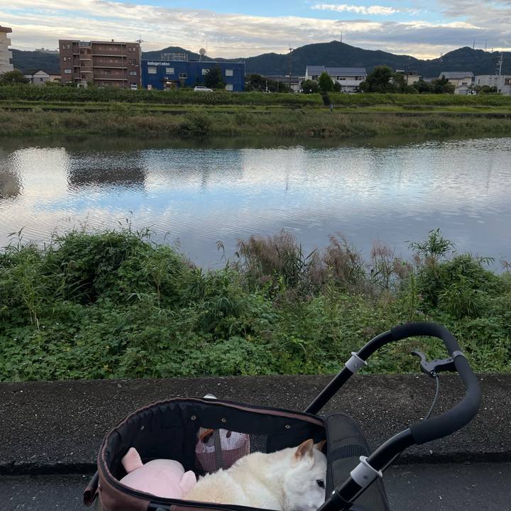 Ee80a54e 1f2a 42dc b252 0029f210cd78 1665146553132