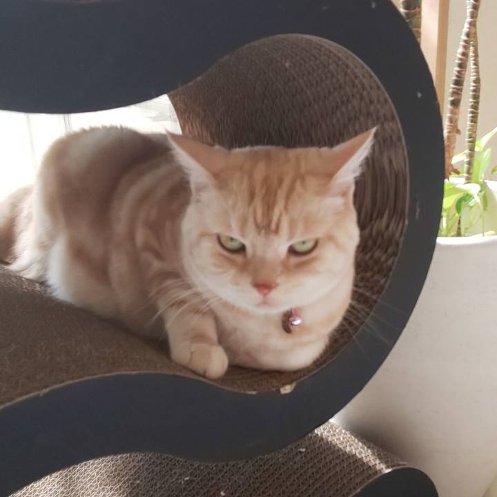 Ee80bd20 ac90 43bd a7e2 c025f335ec38 1539593263597