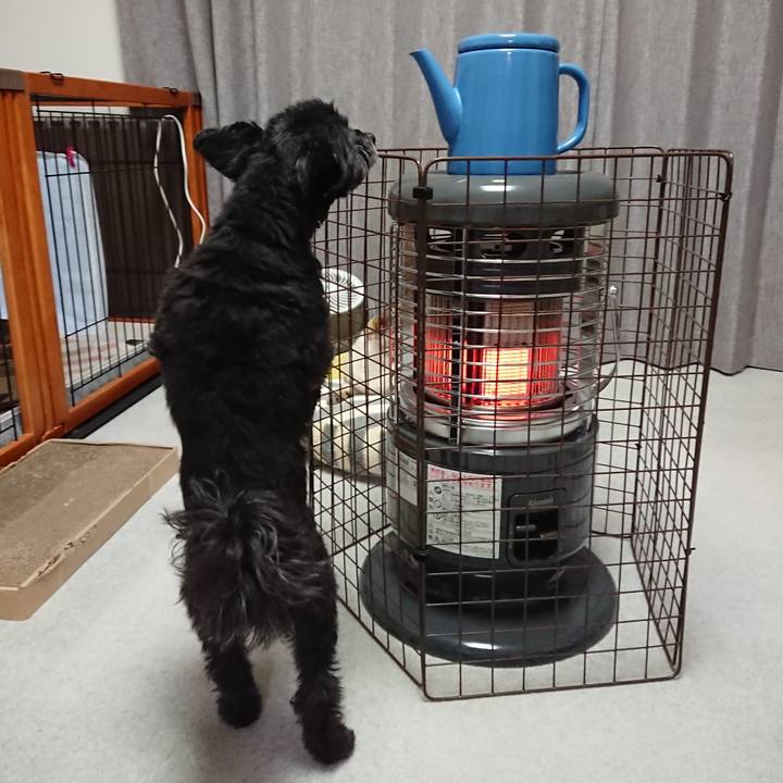 Ee8102c9 a392 4bb6 bc29 16aad952e4d5 1579089516237