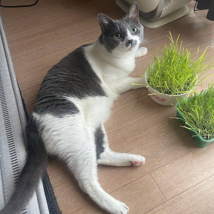 Ee8104f7 fdee 4359 9f1c a9c602be7147 1752363267883