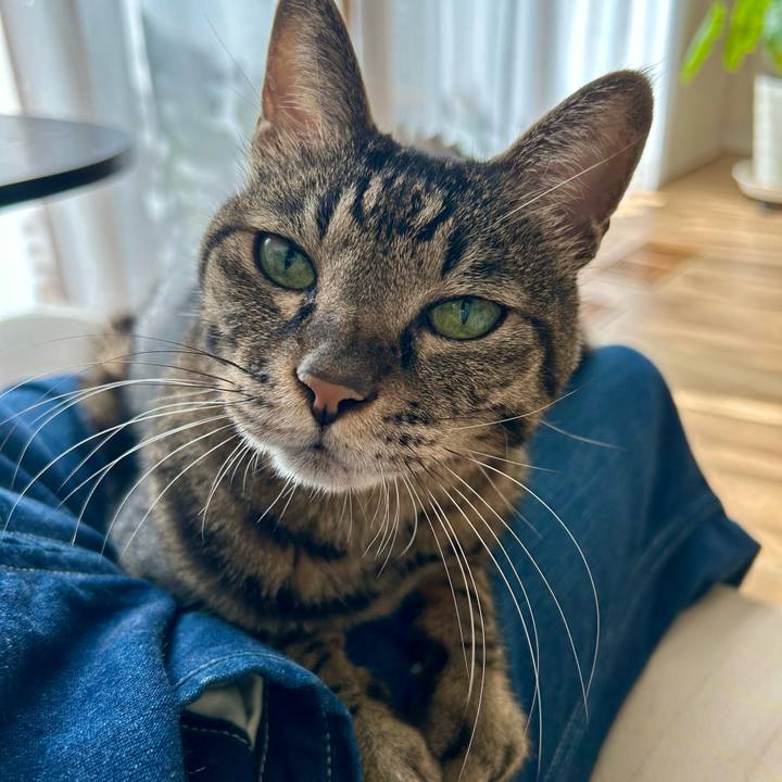 Ee810fd2 9de2 4075 bb8b ceec67bc2c91 1763297733403