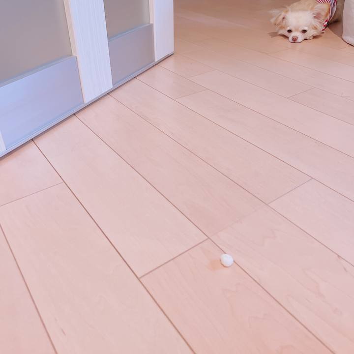 Ee81153b 0125 4122 9568 0ac6ca9a39b2 1676534145324