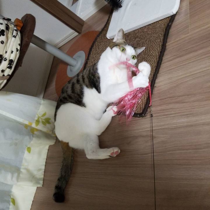 Ee812490 30c2 4869 bfec 0441a82f6e0e 1582116612157