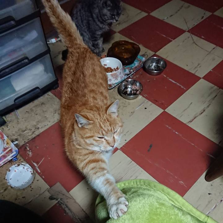 Ee812f2e 76cd 4cdc 8f61 2d36ec997f35 1581536993516