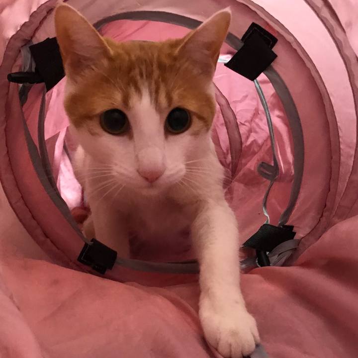 Ee816998 0e3f 4aeb 9dfa eecae9629bef 1515841816517