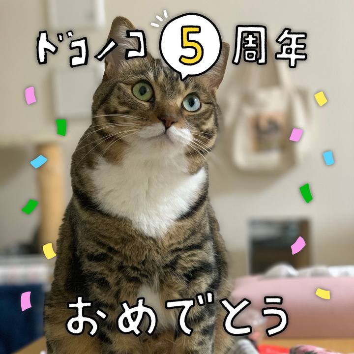 Ee816f6a c904 4152 870f 518023ef8278 1623067984917