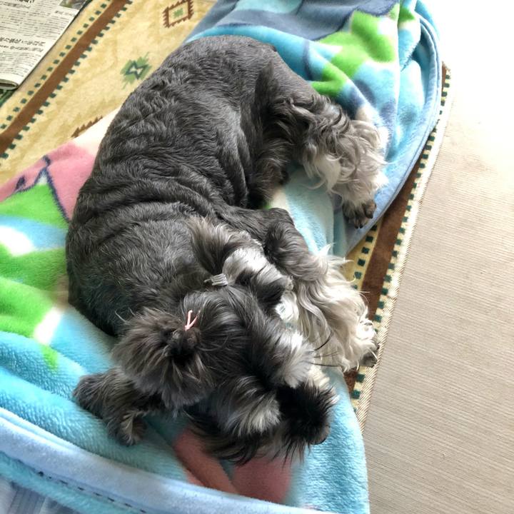 Ee817108 26fd 4ce1 8795 202f9f1db78b 1654304929727