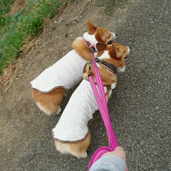 Ee81893d e5e0 40f9 b143 4daca3b392ae 1532563631525