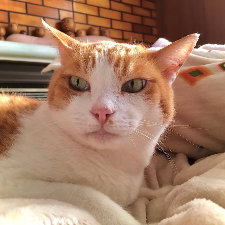 Ee819339 a1e8 4876 8f13 1d40d1c5e1a4 1607071420570