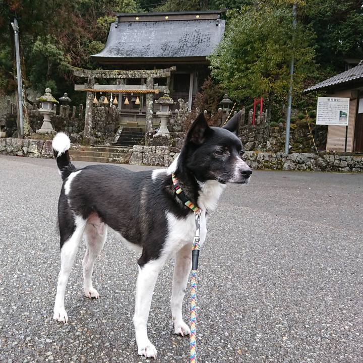 Ee81b39c a1ee 43af 860b 3a85c0ff2d65 1550651820251