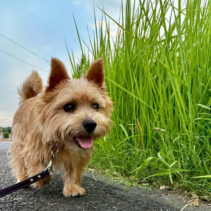 Ee81b872 8291 432b 8429 04d3eaebc219 1754577750501