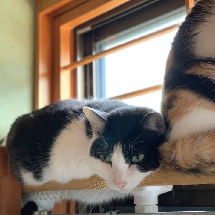 Ee81c4ab b25e 4be0 8c71 ba37c2946d62 1603421744092