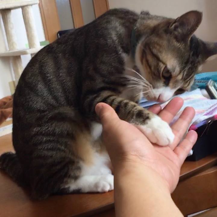 Ee822331 73bc 4a57 b3ce 9fd4c1b51126 1666778155828