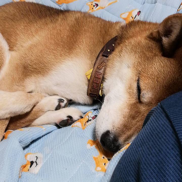 Ee822a27 e164 4eff 8745 6691f77232ff 1603454742153