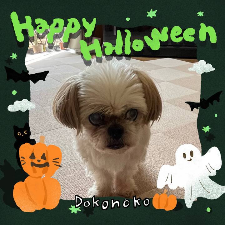 Ee823afa cd19 4720 a7a1 f4d9769da023 1729058904974