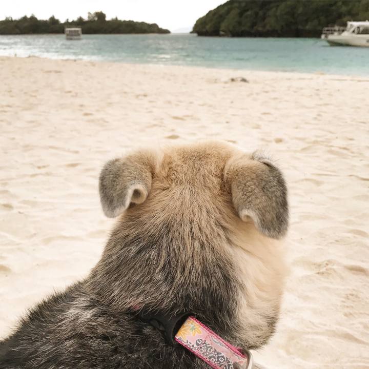 Ee824076 cf75 4a82 9a88 219f33b1fe8a 1511400270909