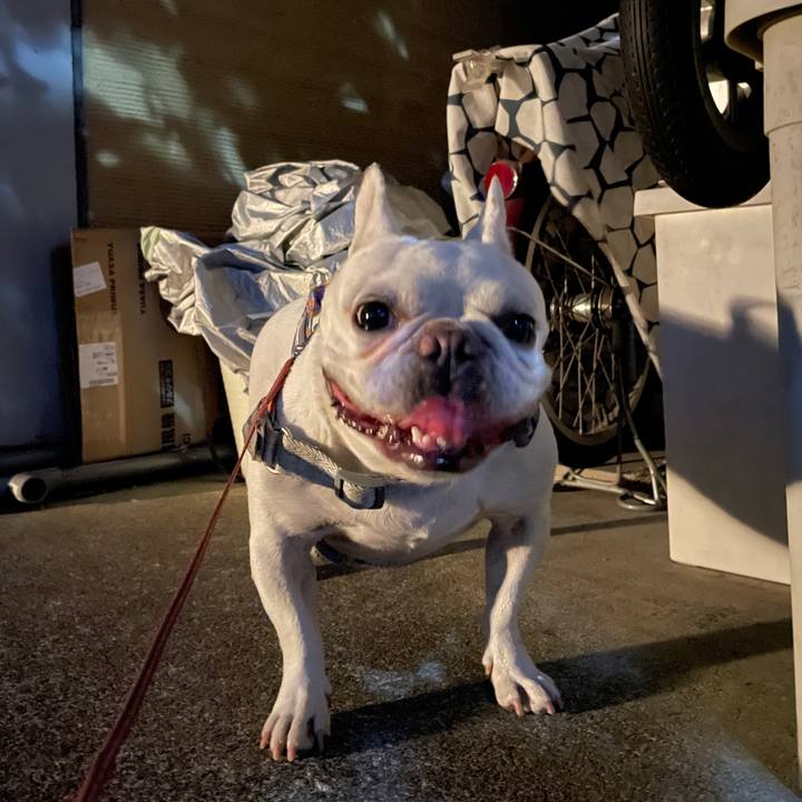 Ee825d21 39a8 4a53 bbb1 992c5981f700 1758235075056