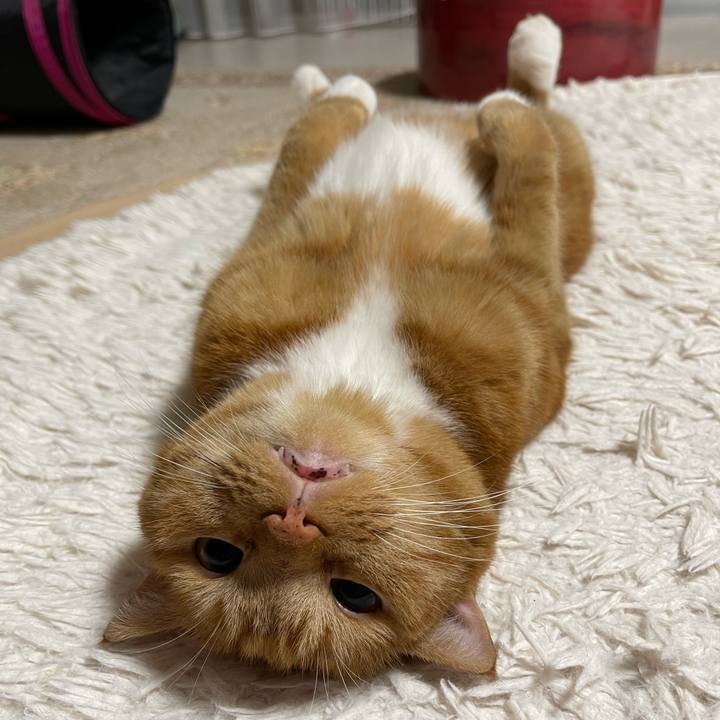 Ee82918c ca9a 46ac 9554 03b317ff7987 1667303875301