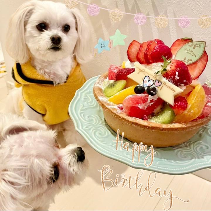 Ee8299d4 5f7b 4bee b67a 7c584fc4b44b 1644205777754