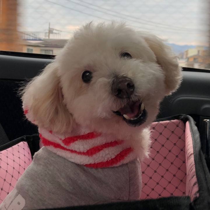 Ee82a709 2def 478d ab27 673c451d19fa 1550324004729