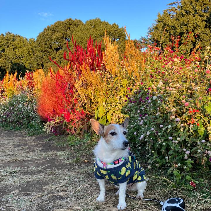 Ee82b27f cb3b 4b0f ad6b 9e8d96c45d99 1698794491145