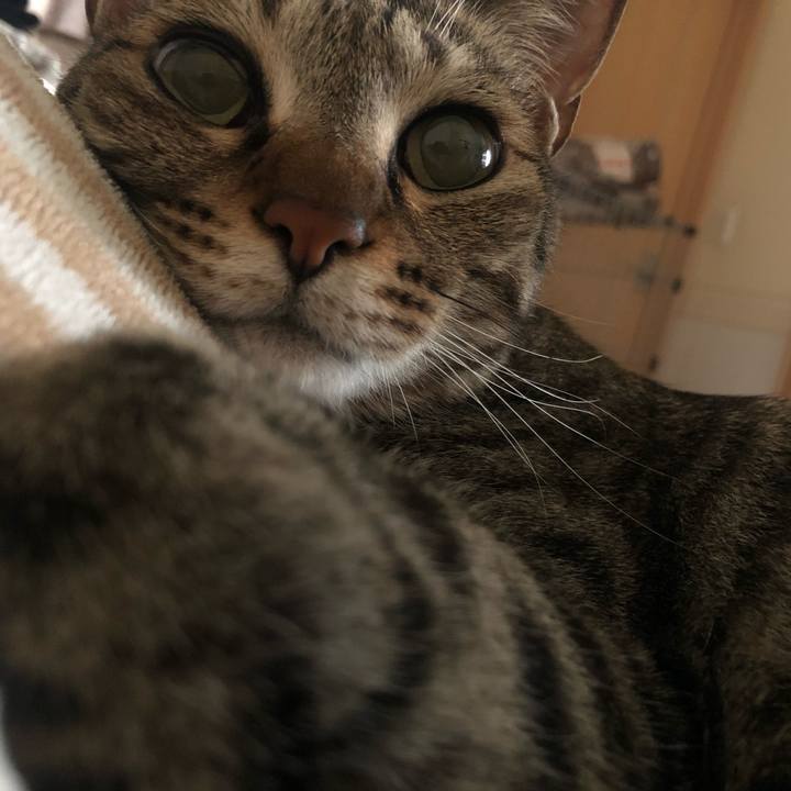 Ee82b66a 31f2 449f 886d 9d2ceeb93b67 1621459311838