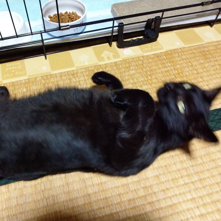 Ee82e50f f003 489e 94c0 c89b7e15a1ed 1569486658322